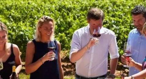 Dégustation au sein d'un domaine viticole près de Chalon-sur-Saône