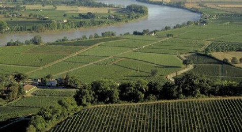 Journée visite et dégustation de vins près de Saint Emilion 