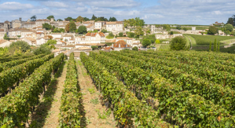 Journée visite et dégustation de vins près de Saint Emilion 
