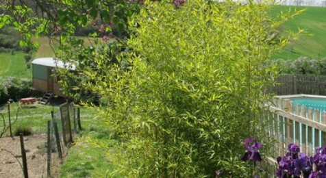 Nuit insolite en roulotte à Montmaur près de Castelnaudary