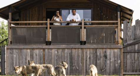Nuit insolite dans un lodge d'observation et visite d'un parc animalier près d'Orléans