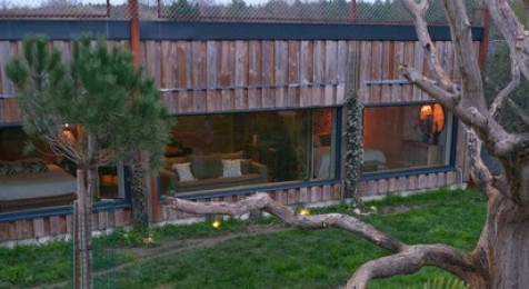 Nuit insolite dans un lodge d'observation et visite d'un parc animalier près d'Orléans