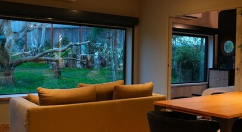 Nuit insolite dans un lodge d'observation et visite d'un parc animalier près d'Orléans