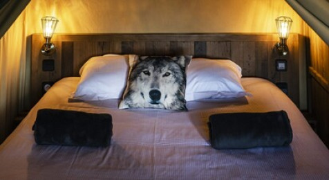 Nuit insolite dans un lodge d'observation et visite d'un parc animalier près d'Orléans