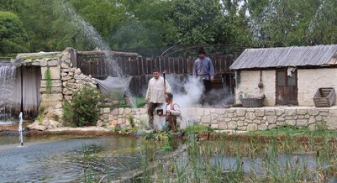 Parc à thème et ferme pédagogique immersifs du 20e siècle près d'Arles
