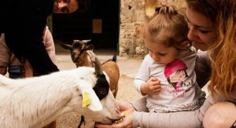 Parc à thème et ferme pédagogique immersifs du 20e siècle près d'Arles