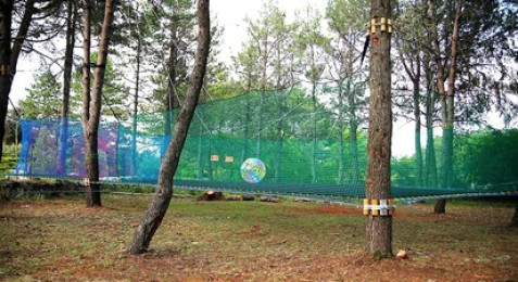 Visite d'un parc animalier à Ginasservis 