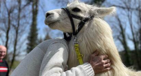 Parc animalier près de Besançon