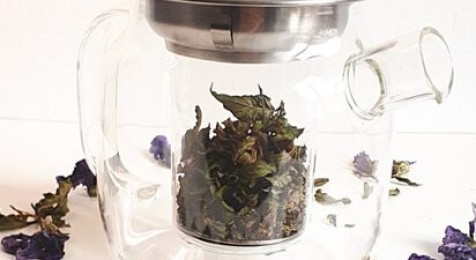 Prendre soin de soi avec les plantes : atelier bien-être saisonnier à Nort-sur-Erdre