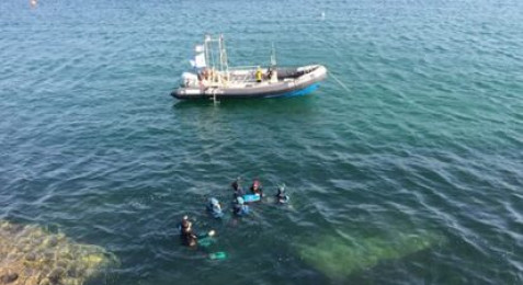 Randonnée palmée à Ciboure dès 4 personnes