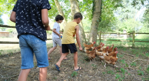 Séjour insolite en Wood ou Slow Lodge à Pontorson à proximité du Mont-Saint-Michel