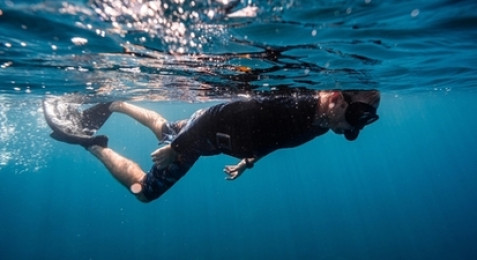 Snorkeling à Ajaccio
