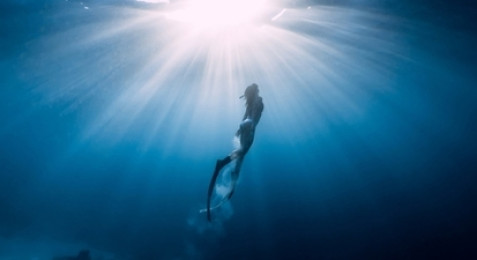 Snorkeling à Ajaccio