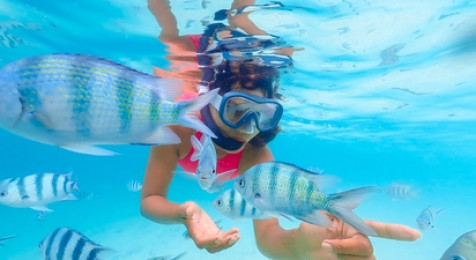 Snorkeling à Calvi