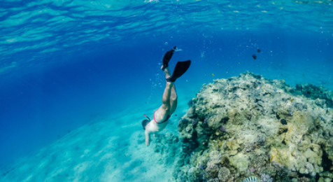 Snorkeling à Villefranche-sur-Mer près de Nice