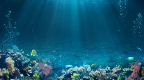 Snorkeling à Villefranche-sur-Mer près de Nice