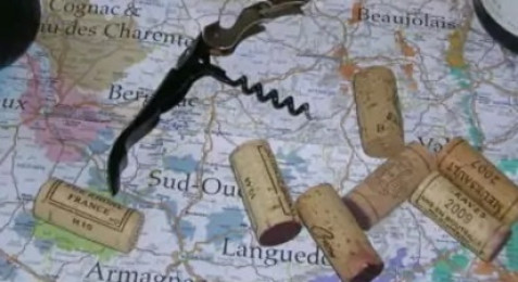 Stage d'œnologie à Clermont l’Hérault