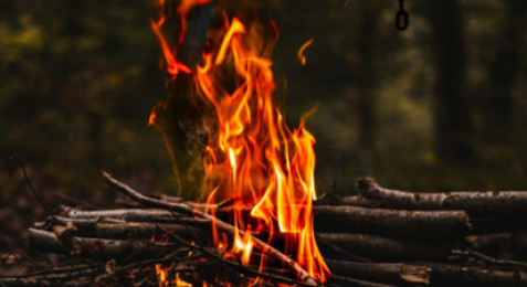 Stage de survie 2 jours à Malesherbes
