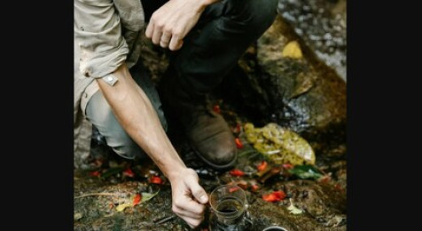 Stage de survie à pleine forêt à Guénin en Bretagne
