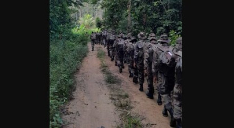 Stage de survie à pleine forêt à Guénin en Bretagne
