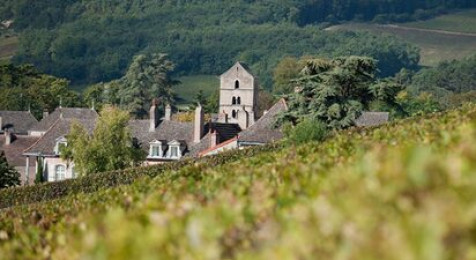 Visite commentée des vignes et dégustation à Rully