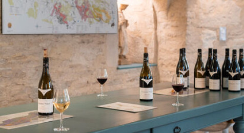Visite commentée des vignes et dégustation à Rully