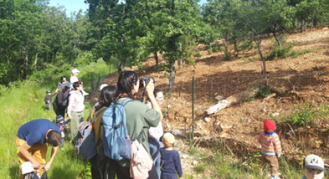 Visite d'une ferme de porcs noirs gascons près de Cahors
