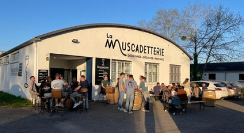 Visite dégustation au sein du cave à vin muscadet à Nantes