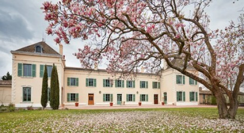 Visite-dégustation dans un domaine viticole du Beaujolais près de Mâcon