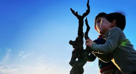 Visite et dégustation de vignoble à Luc-sur-Orbieu près de Carcassonne