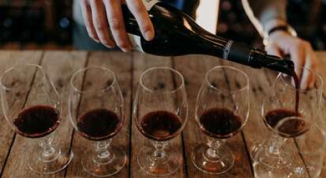 Visite et dégustation de vin au Château de Haute-Serre à Cieurac
