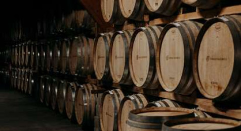 Visite et dégustation de vin au Château de Haute-Serre à Cieurac