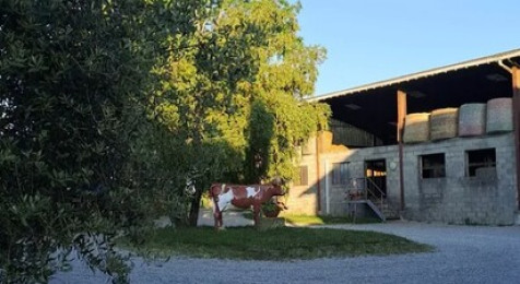 Visite au sein d'une ferme cosmétique paysanne près de Lyon